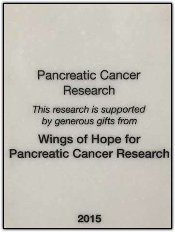 WINGS OF HOPE plaque unveiled